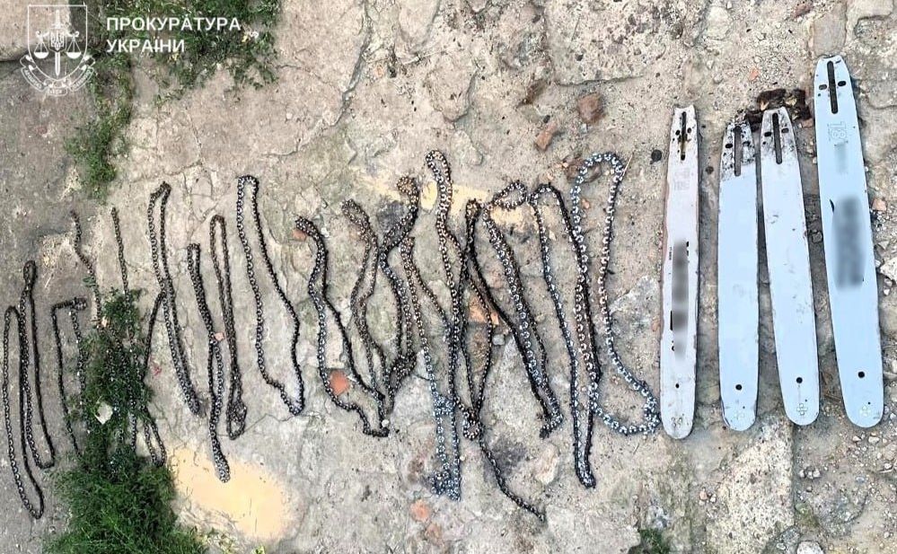 На Полтавщині судитимуть групу «чорних лісорубів», які «нарубали» дерев на 3,6 млн грн
