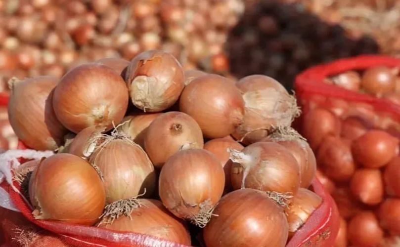 В Україні знижуються ціни на цибулю