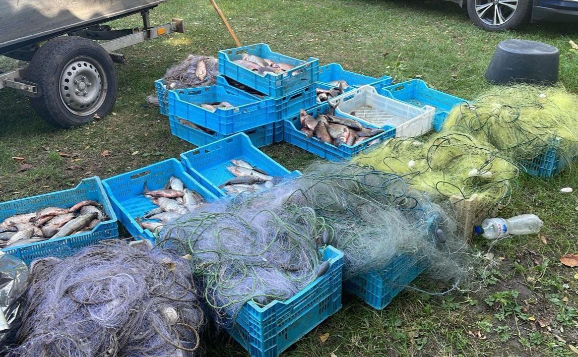 У Кременчуцькому водосховищі виявили 14 сіток