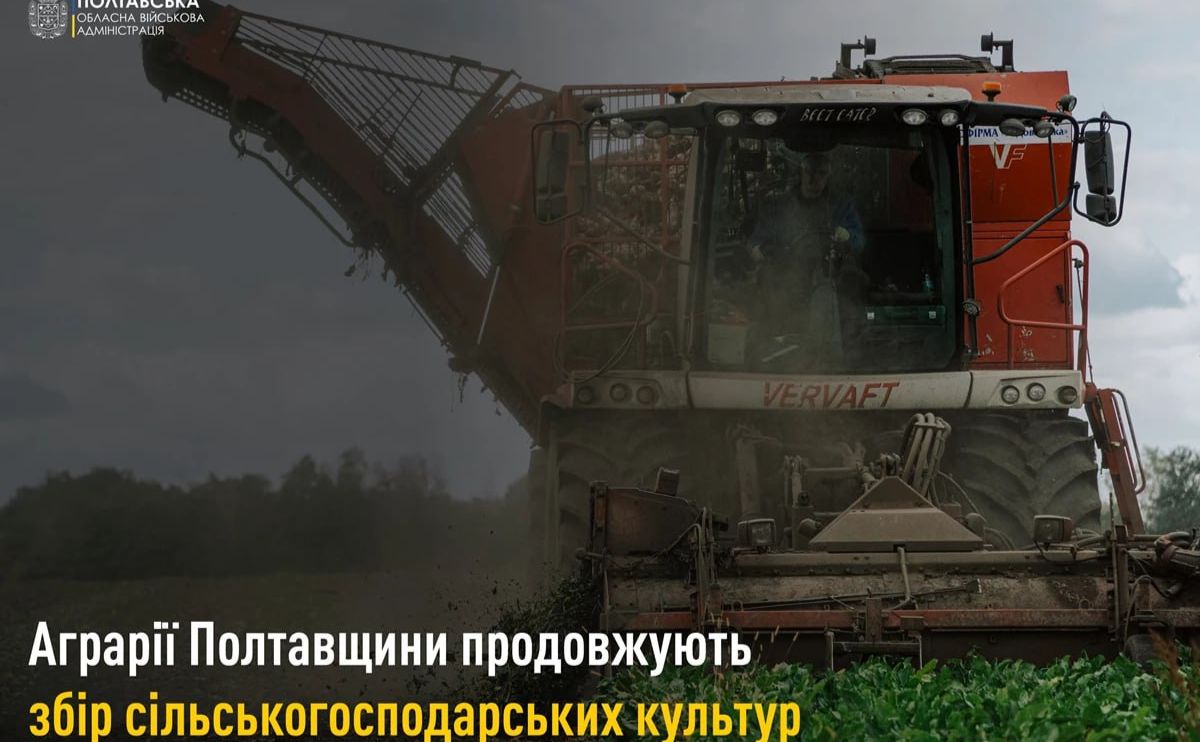 Аграрії Полтавщини вже зібрали 198,7 тис. тонн цукрового буряку