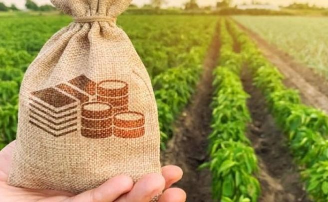 Рада розширила фінансову підтримку фермерів