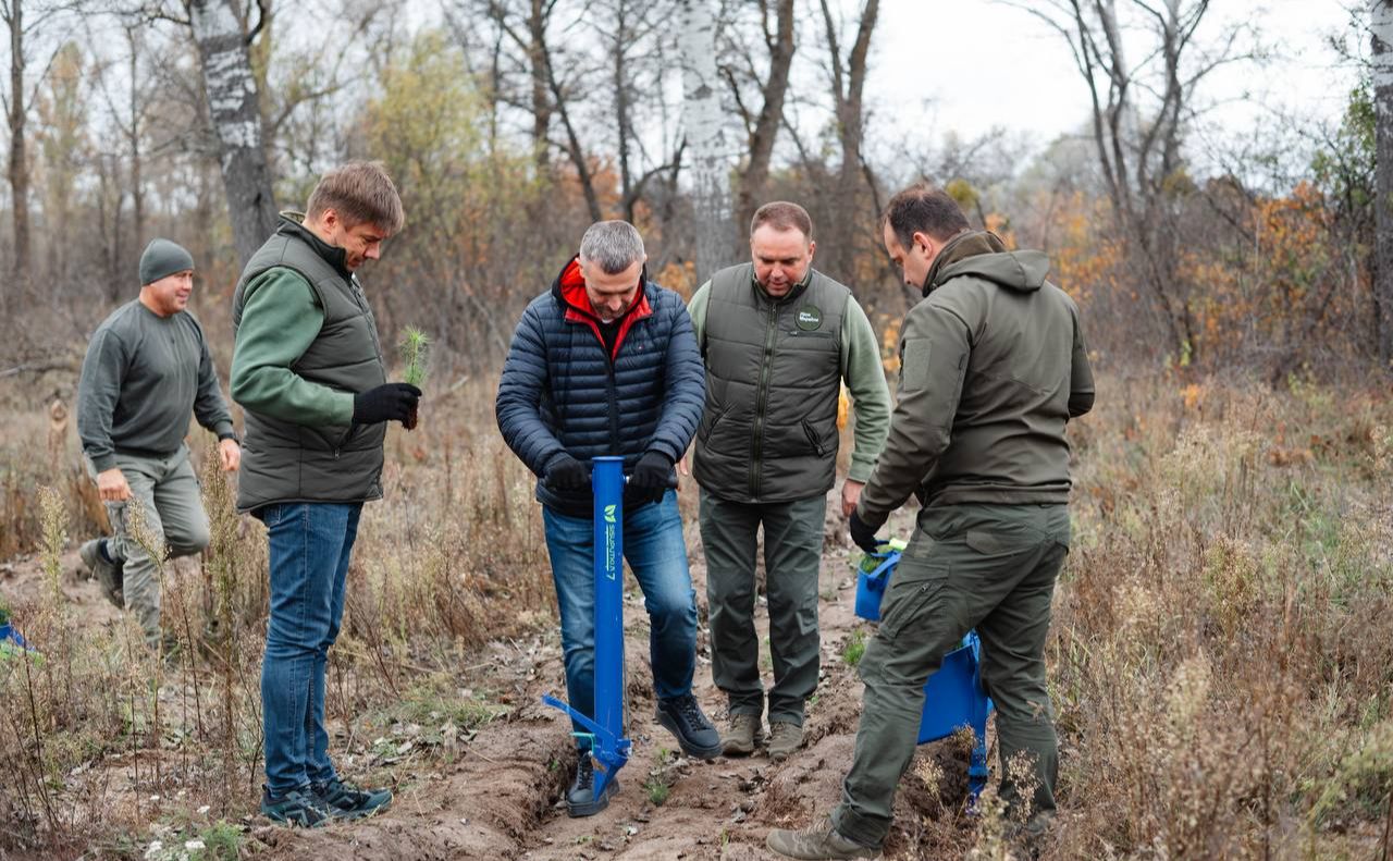 На Полтавщині висаджують нові ліси — ще понад пів тисячі гектарів цієї осені
