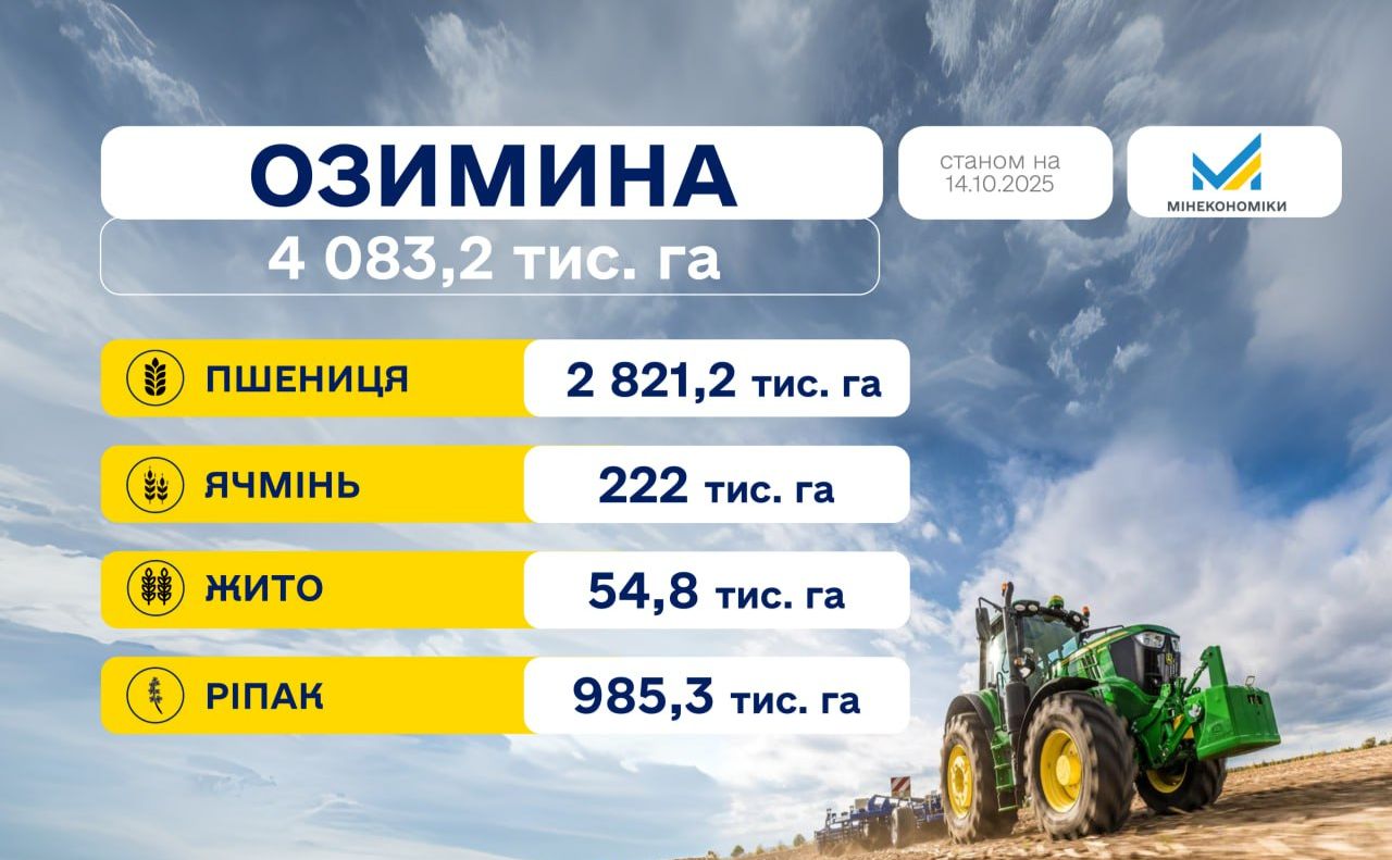 Триває посівна озимих культур