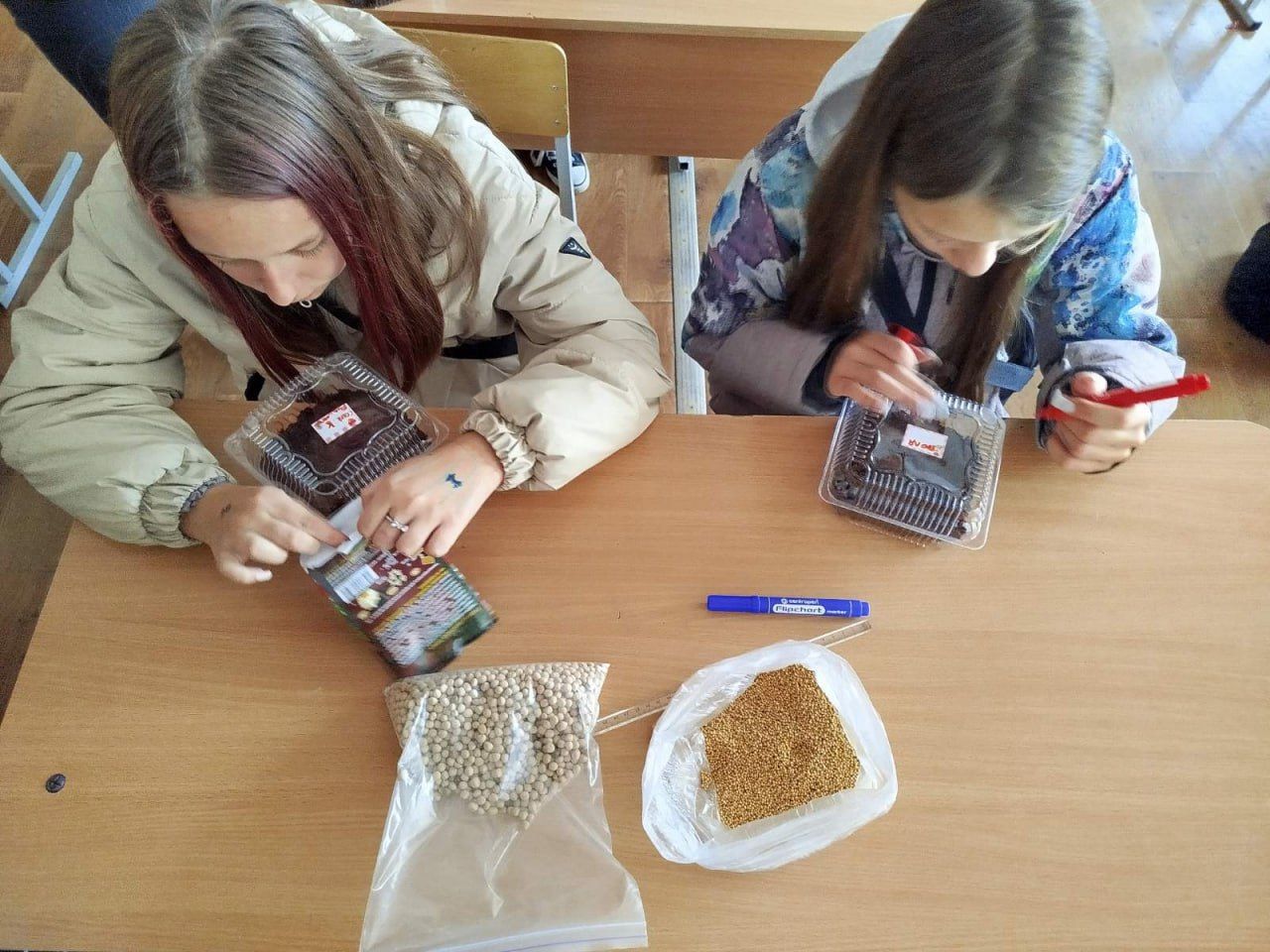 Вихованці Решетилівської філії ПОЕНЦУМ вирощують мікрозелень