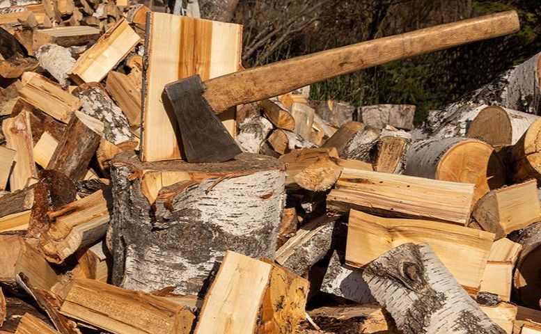 Лісівники тримають паливні дрова виключно для населення та соцсфери