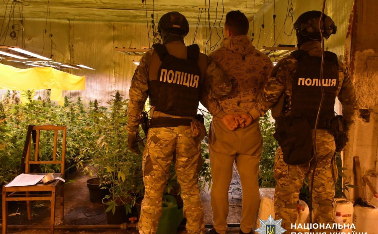 Правоохоронці викрили масштабне підпільне виробництво канабісу: центр збуту знаходився у Полтавській області