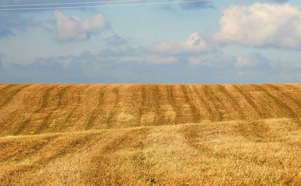 На українському ринку землі ціни стабілізувались після рекордного піку
