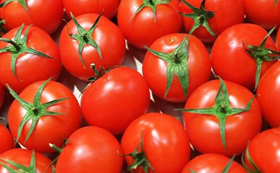 Тепличні помідори стрімко дорожчають