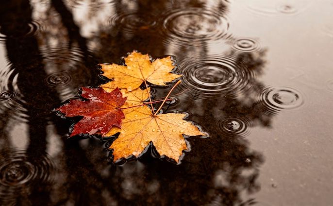 У вівторок дощитиме