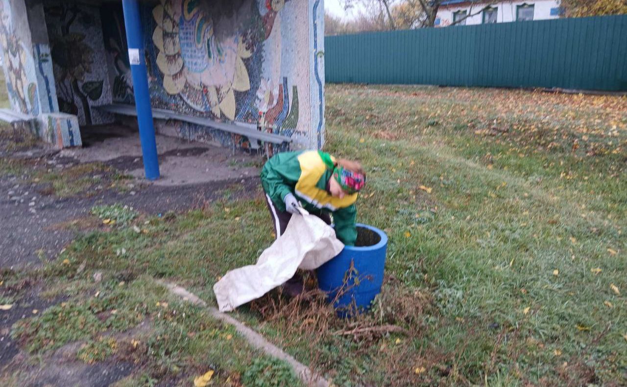 КП «Ефект» проводить благоустрій у старостатах