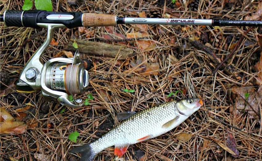 Із 1 листопада на Полтавщині запроваджують обмеження на вилов риби