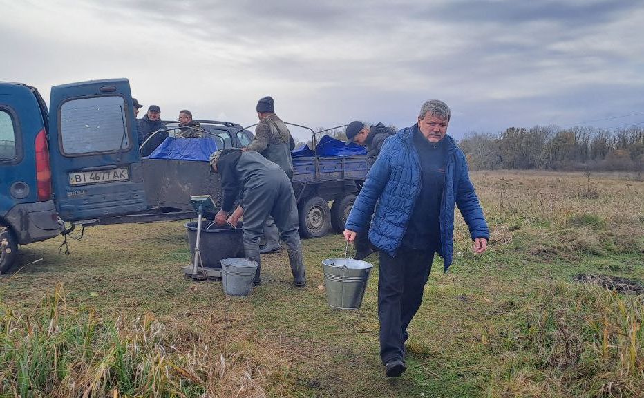 У річку Говтву випустили понад 300 кілограмів зарибка коропа