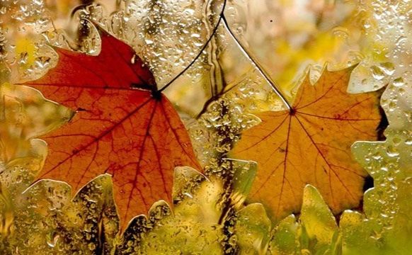 Які свята відзначаємо 2 листопада?