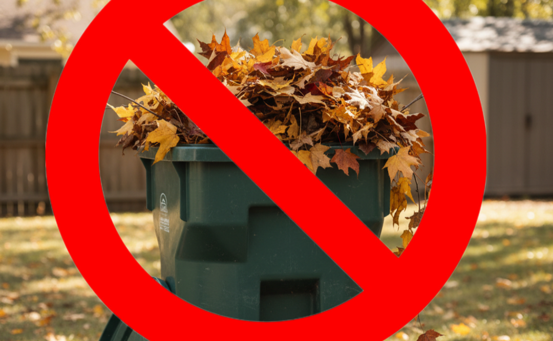 КП «Покровський комунгосп» закликає мешканців громади не викидати листя у сміттєві баки