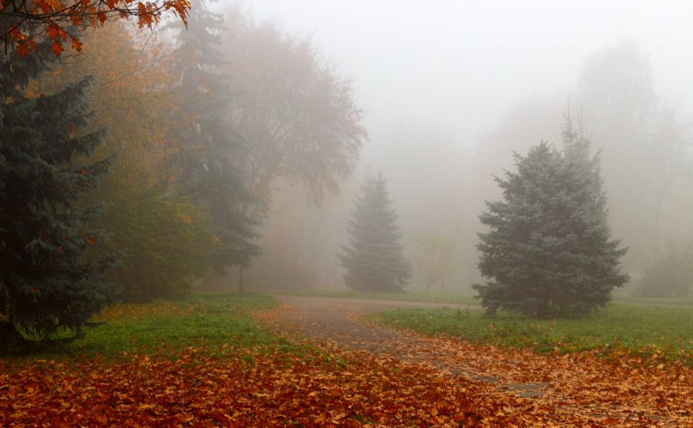 У вівторок — туман