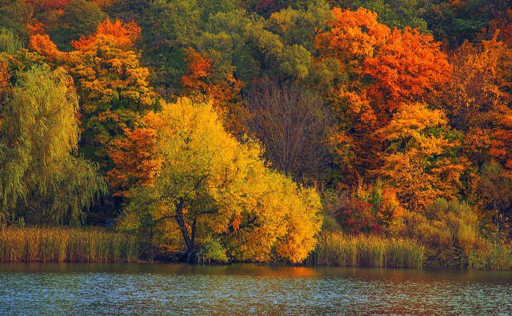 Жовтень був теплішим норми на Полтавщині