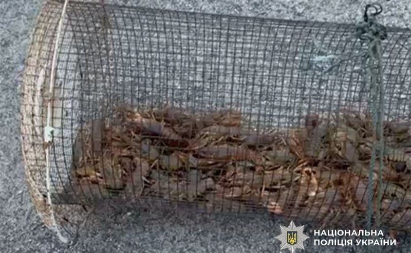 У затоці Дніпра затримали двох браконьєрів