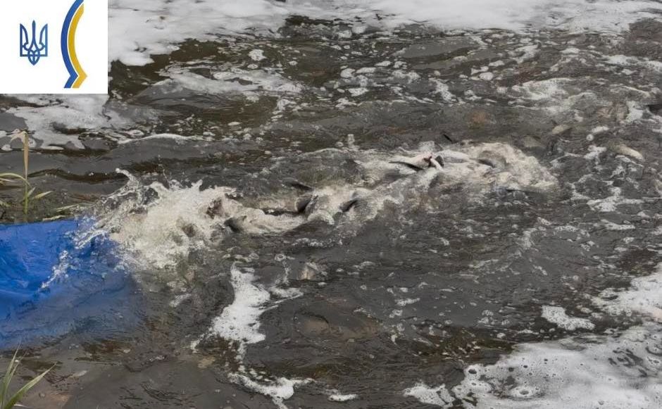 У Сухий Кагамлик випустили понад 10 тисяч малька товстолобика