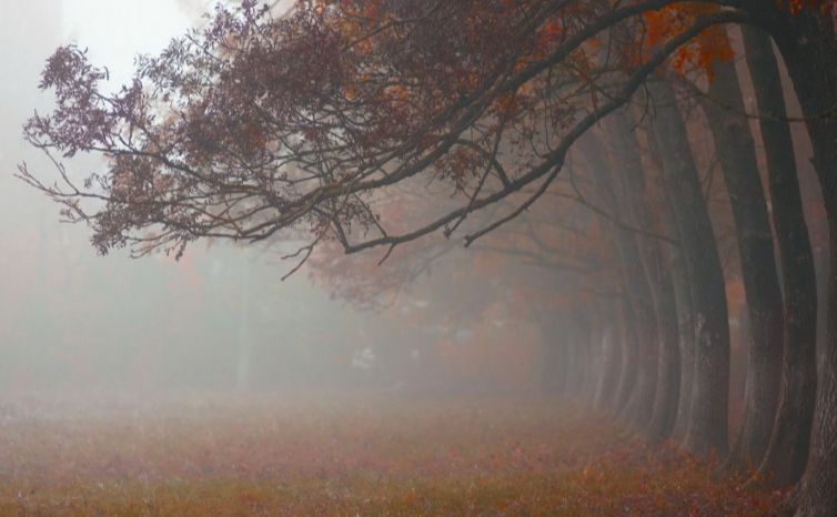 Обережно — туман!