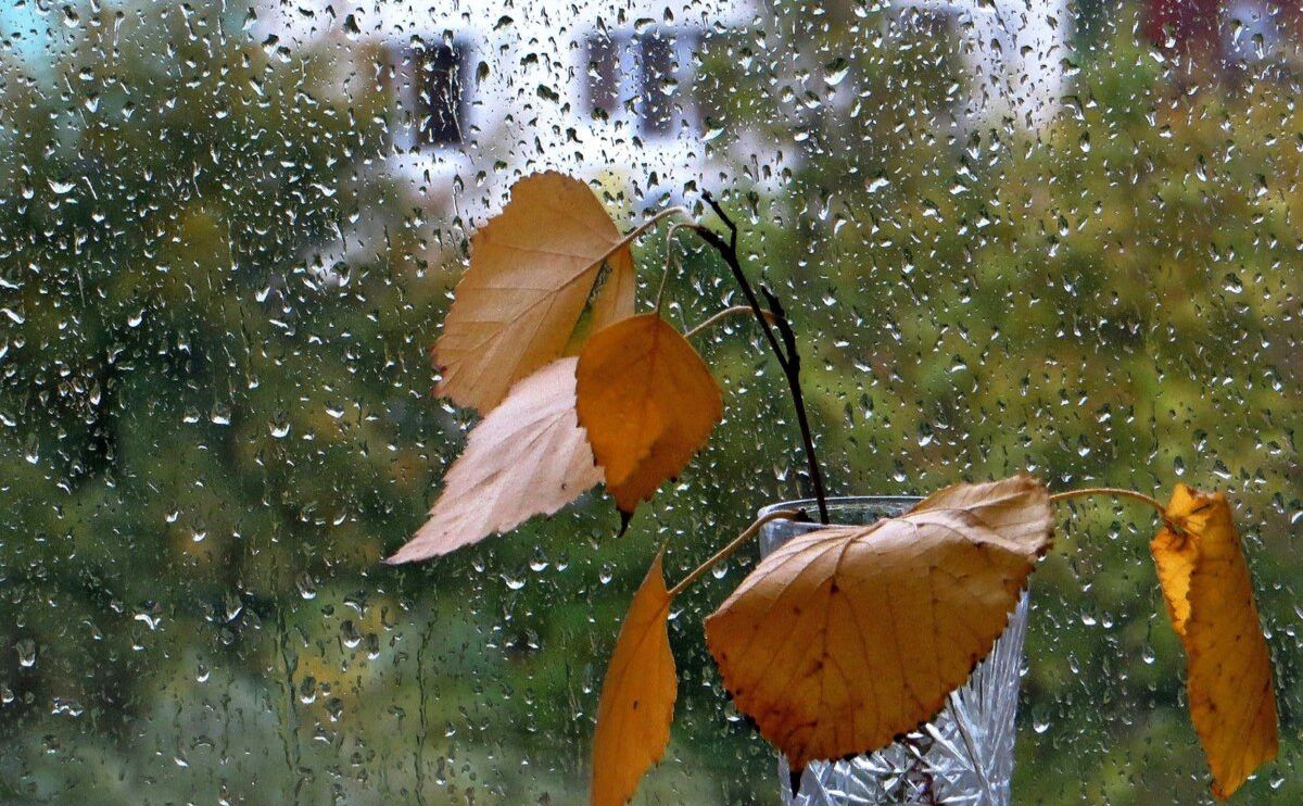 У середу прогнозують незначні опади