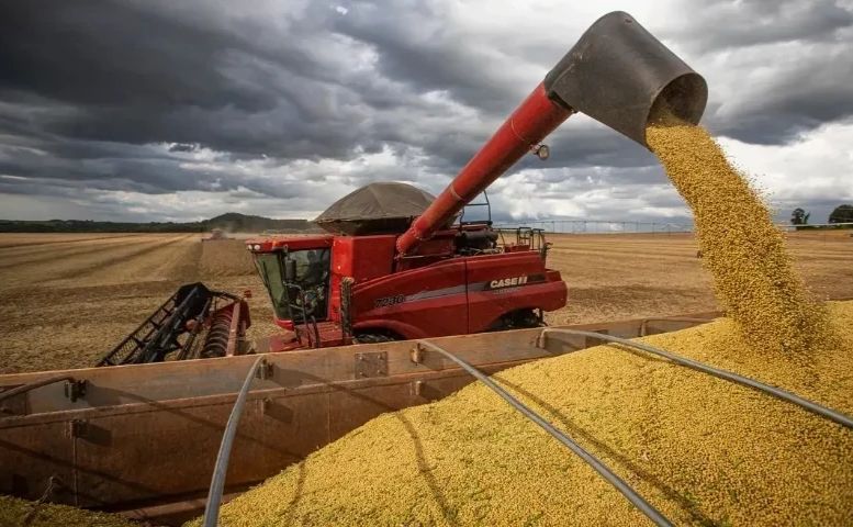 Полтавщина серед лідерів України за темпами збору врожаю