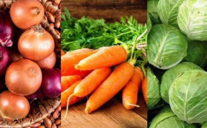 Наступного року овочесховищ в Україні має стати більше