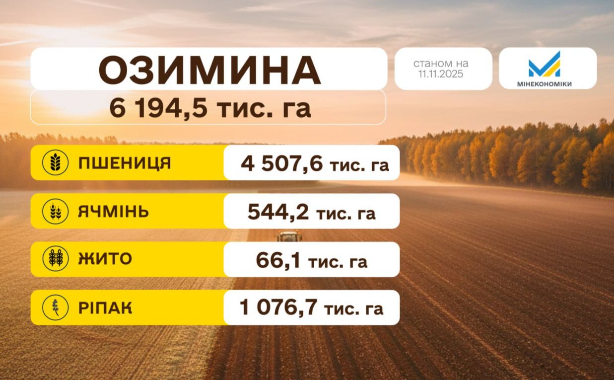 Триває посівна озимих культур