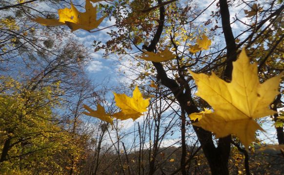 Обережно, сильний вітер!