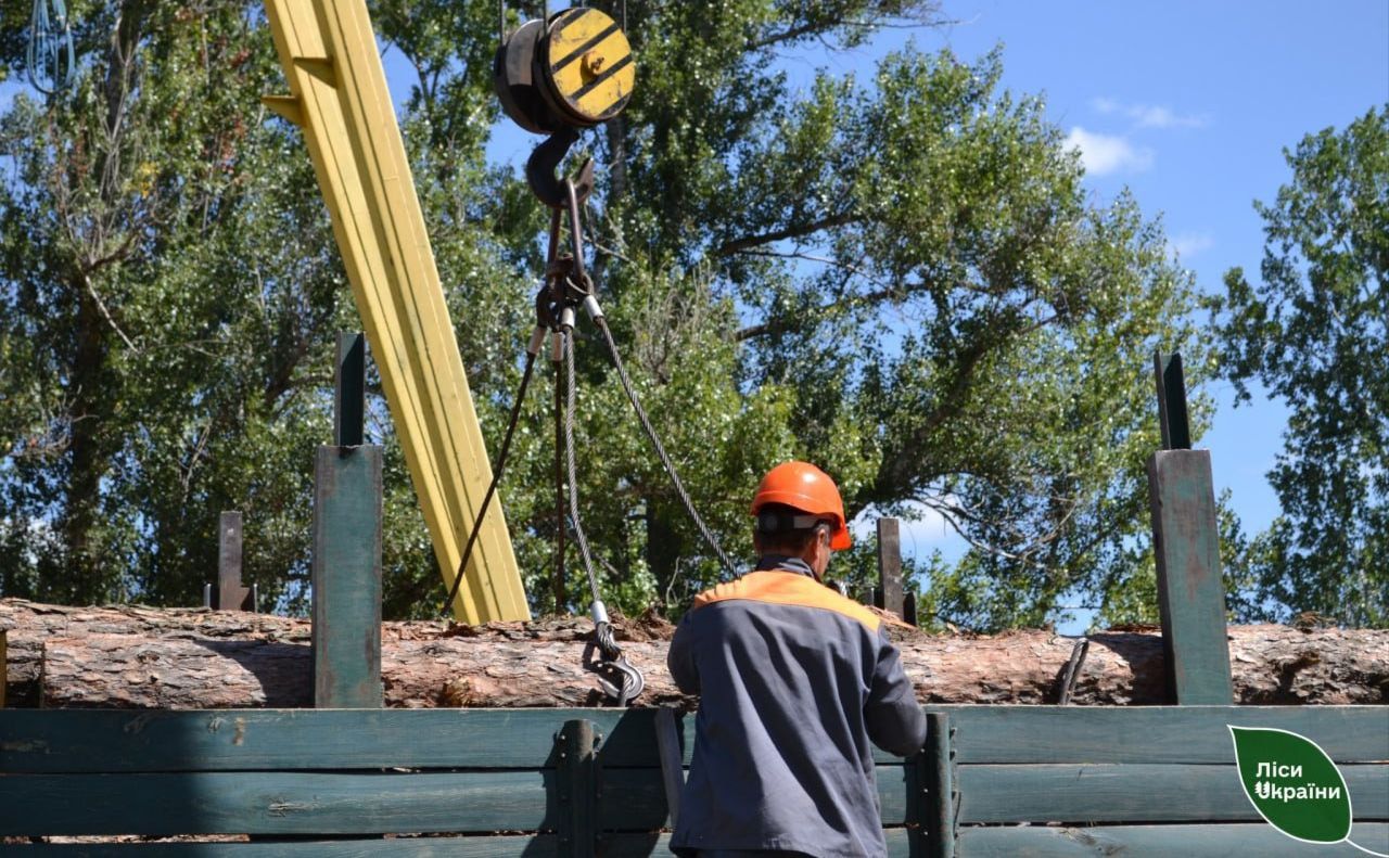 Слобожанський лісовий офіс продовжує забезпечувати військо деревиною
