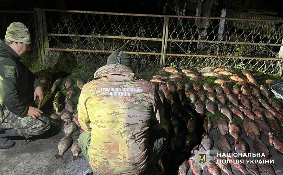 Браконьєр наловив у Сулинському заказнику майже 300 кг риби