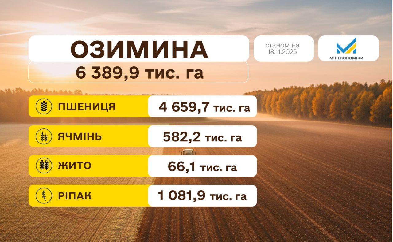 Аграрії засіяли 97,5% від прогнозованих площ