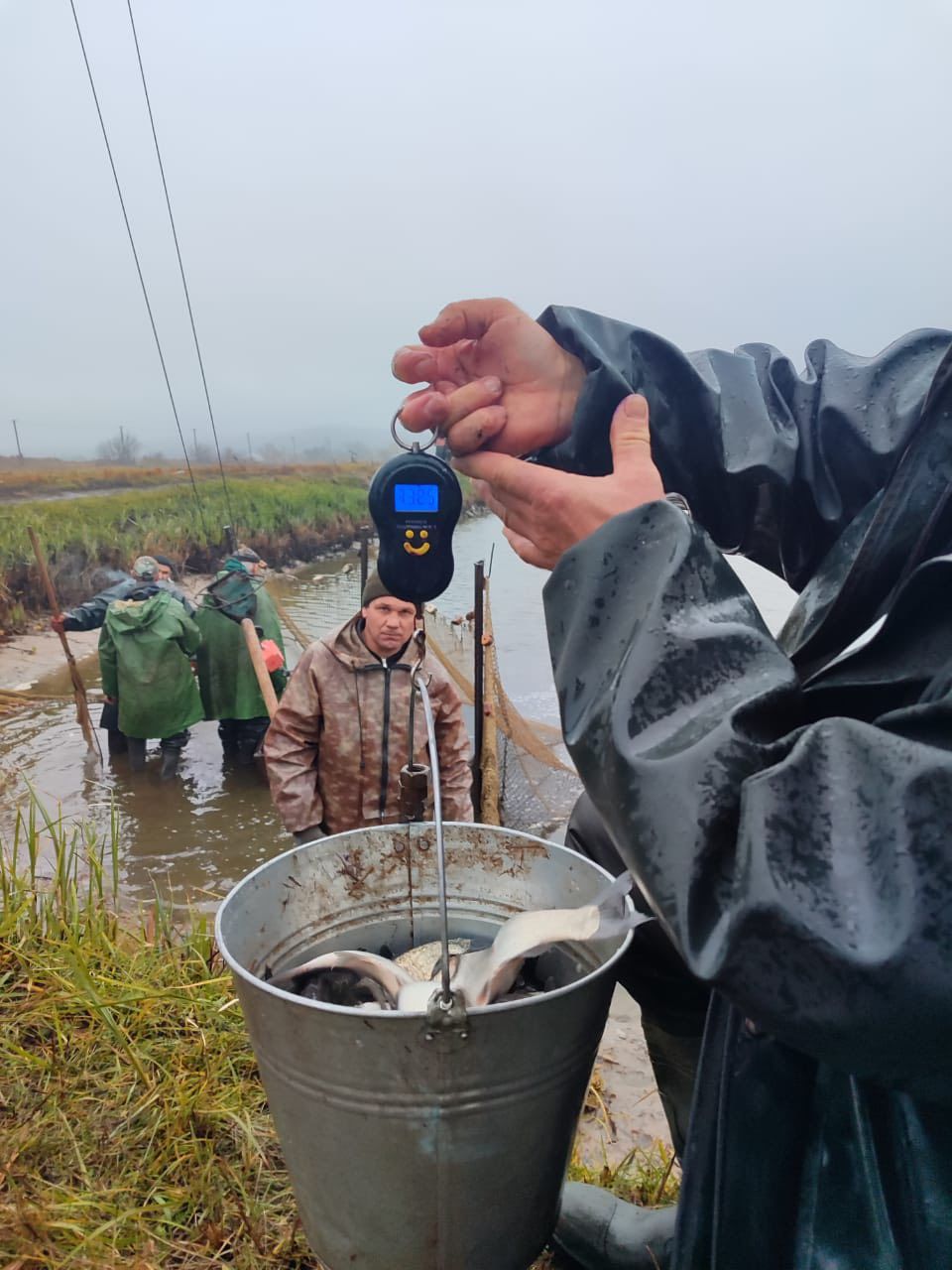 У Кременчуцьке водосховище випустили понад 86 тисяч молодняка товстолобика