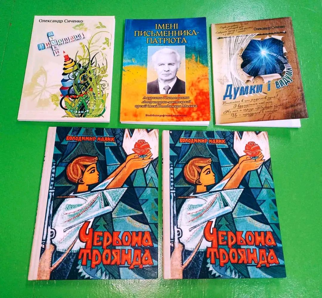 У Решетилівській центральній міській бібліотеці відбулася зустріч, присвячена спадщині Володимира Малика