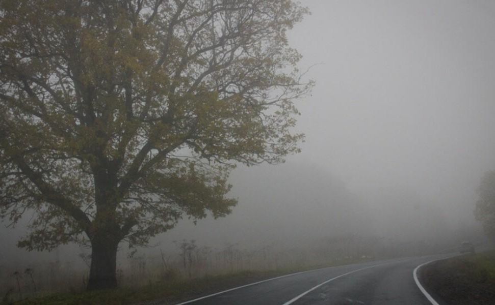У четвер Полтавщину накриє туман