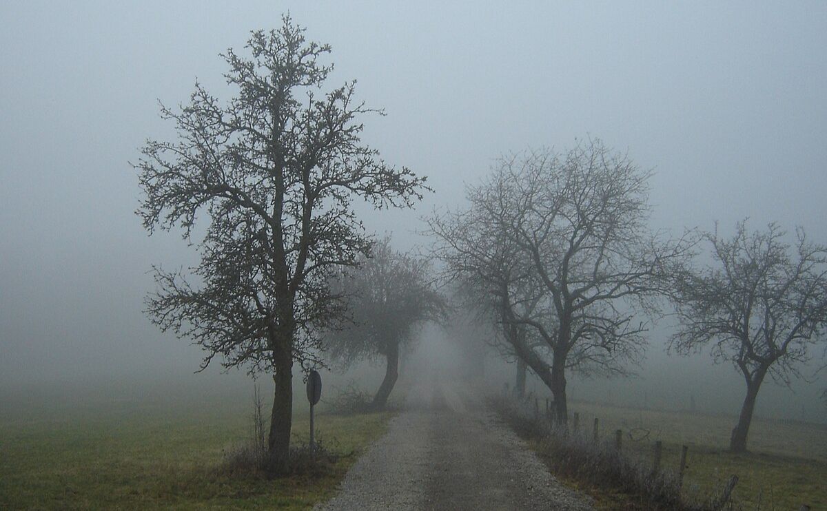 Обережно — туман!