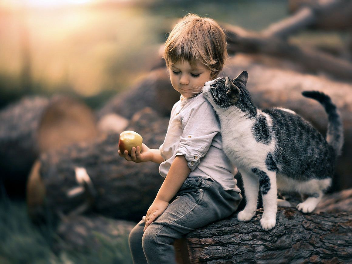 Яке свято відзначаємо 30 листопада?