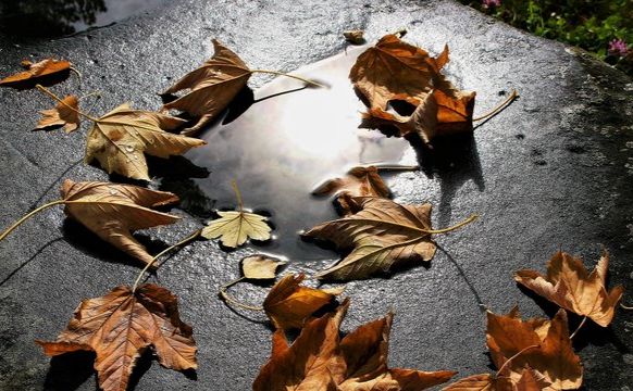 Яке свято відзначаємо 30 листопада?