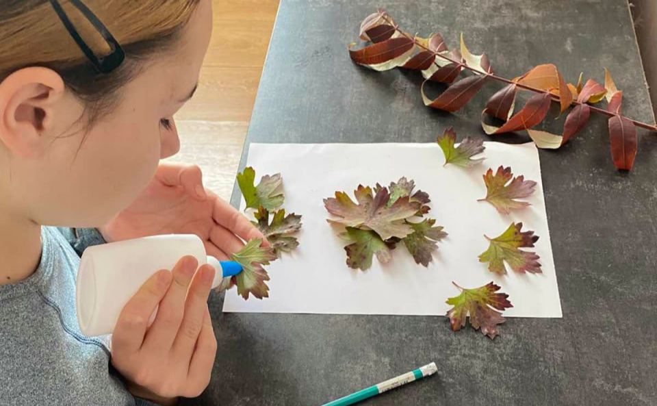 У Федіївській СБФ відбувся майстерклас