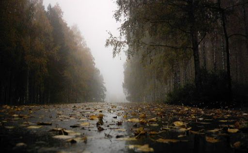 У понеділок — без опадів