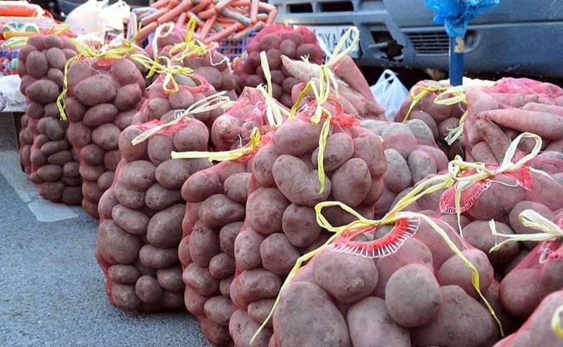 Врожайність картоплі в Україні зросла на 25%