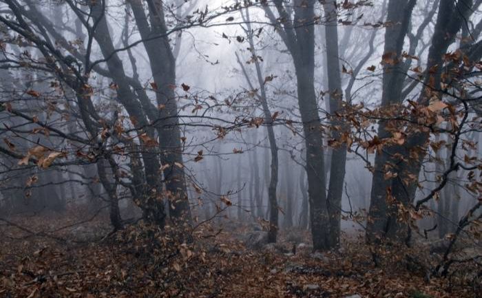 Понеділок — без опадів