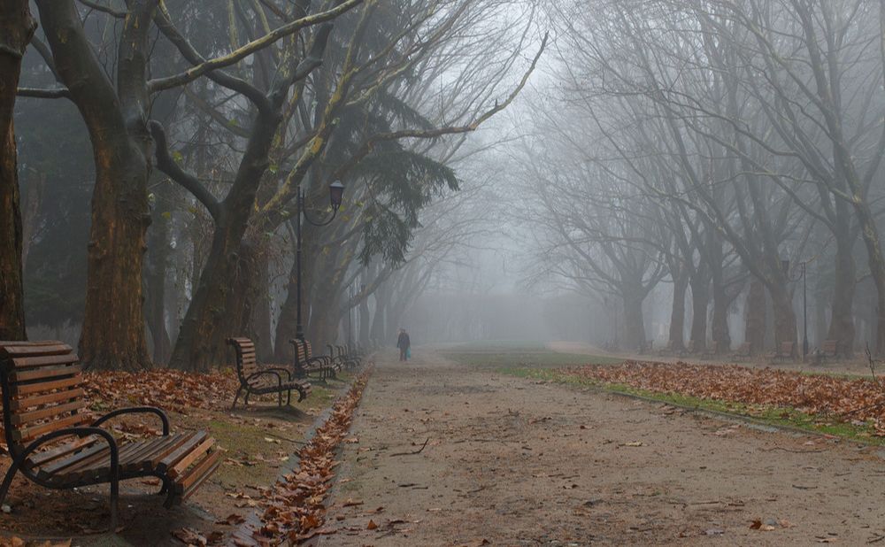 У вівторок опадів не прогнозують