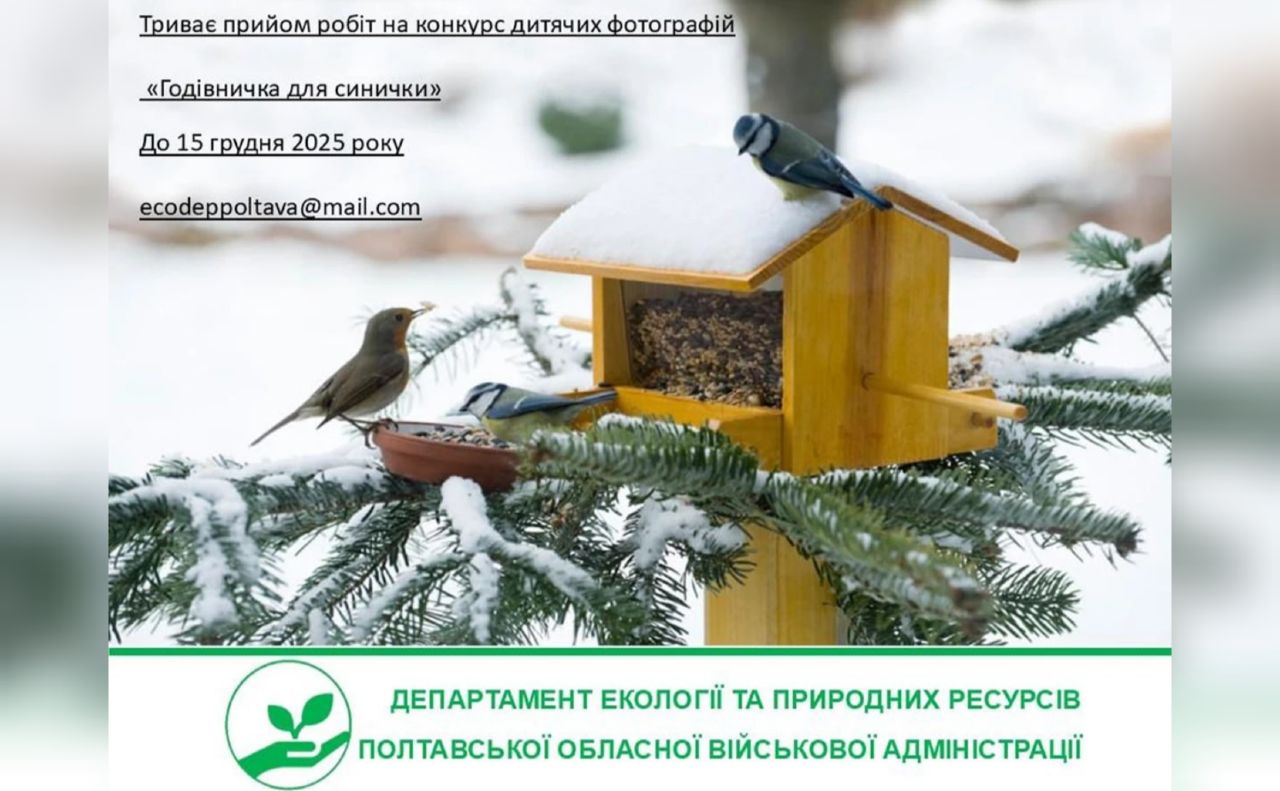 Завершується прийом робіт на конкурс дитячих фотографій «Годівничка для синички»