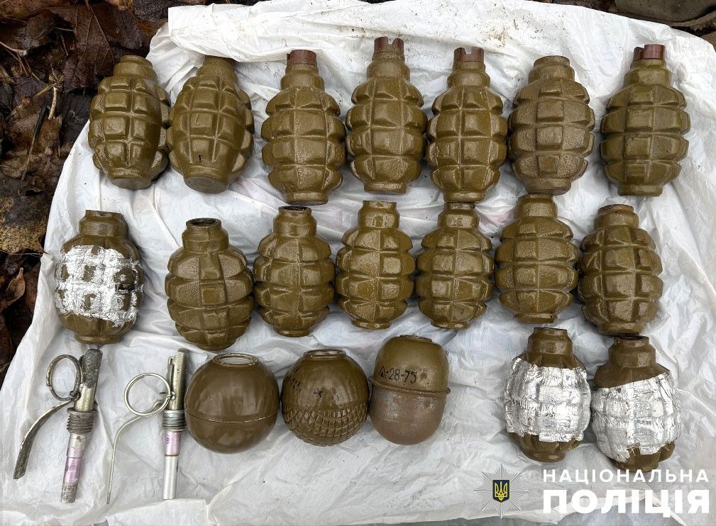 У лісосмузі на Полтавщині виявили сховок зі зброєю