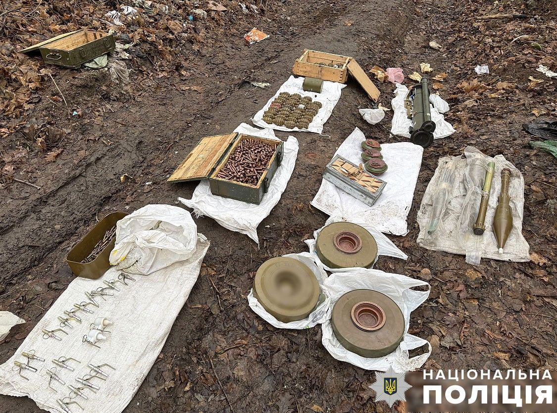 У лісосмузі на Полтавщині виявили сховок зі зброєю