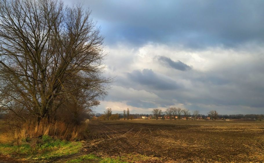 Сьогодні на Полтавщині буде хмарно