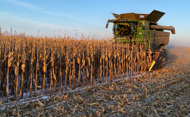 На Полтавщині щавершується збір урожаю