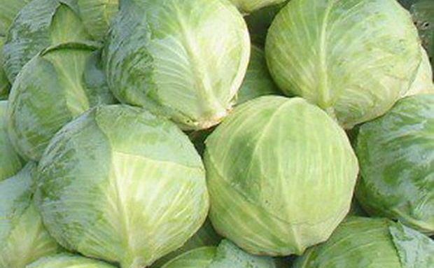 В Україні стрімко дешевшає білокачанна капуста