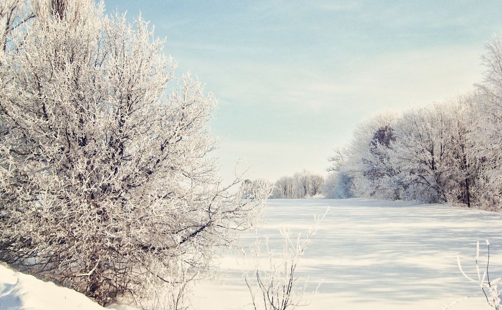 Сьогодні опадів не прогнозують