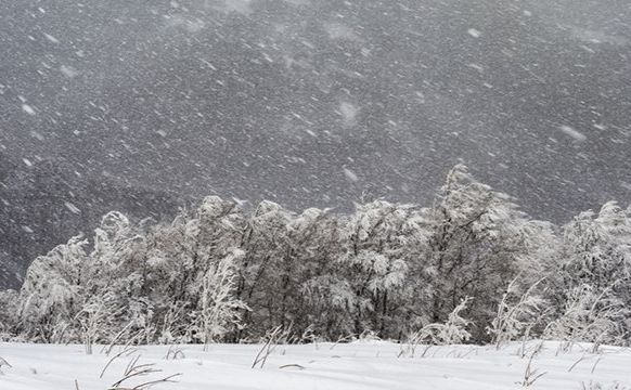 Морози після снігопадів: Україну накрила негода